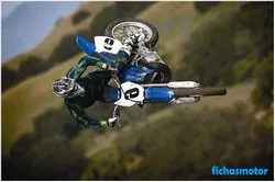 Image of the Yamaha yz250 2009 motorcycle